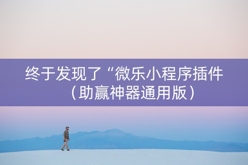 终于发现了“微乐小程序插件（助赢神器通用版）