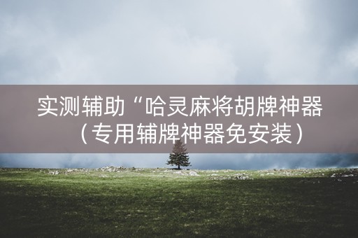 实测辅助“哈灵麻将胡牌神器（专用辅牌神器免安装）