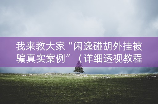 我来教大家“闲逸碰胡外挂被骗真实案例”（详细透视教程）-哔哩哔哩