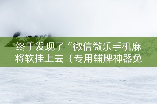 终于发现了“微信微乐手机麻将软挂上去（专用辅牌神器免安装）