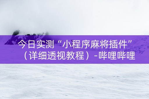 今日实测“小程序麻将插件”（详细透视教程）-哔哩哔哩