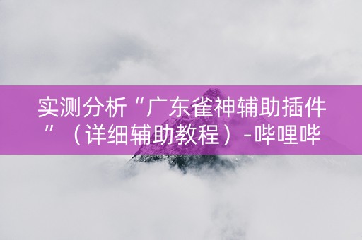 实测分析“广东雀神辅助插件”（详细辅助教程）-哔哩哔哩