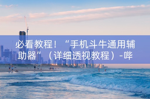 必看教程！“手机斗牛通用辅助器”（详细透视教程）-哔哩哔哩