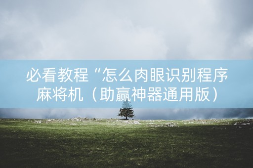 必看教程“怎么肉眼识别程序麻将机（助赢神器通用版）