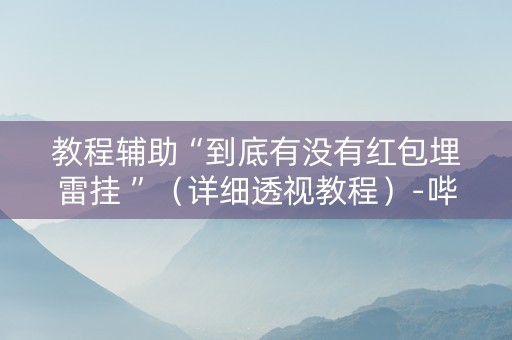 教程辅助“到底有没有红包埋雷挂 ”（详细透视教程）-哔哩哔哩