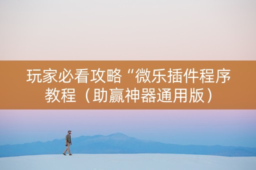 玩家必看攻略“微乐插件程序教程（助赢神器通用版）