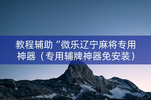 教程辅助“微乐辽宁麻将专用神器（专用辅牌神器免安装）
