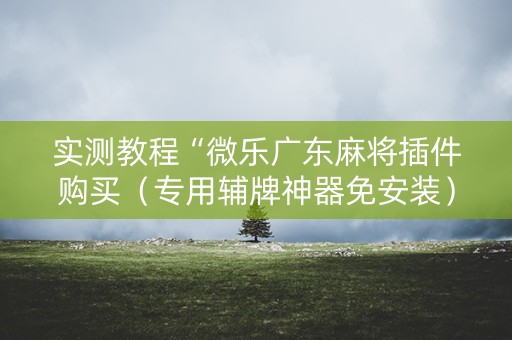 实测教程“微乐广东麻将插件购买（专用辅牌神器免安装）