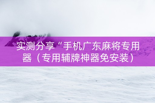 实测分享“手机广东麻将专用器（专用辅牌神器免安装）