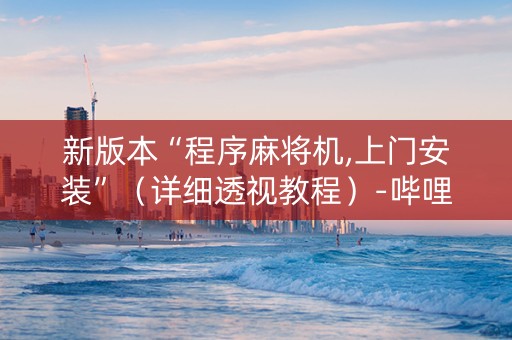 新版本“程序麻将机,上门安装”（详细透视教程）-哔哩哔哩