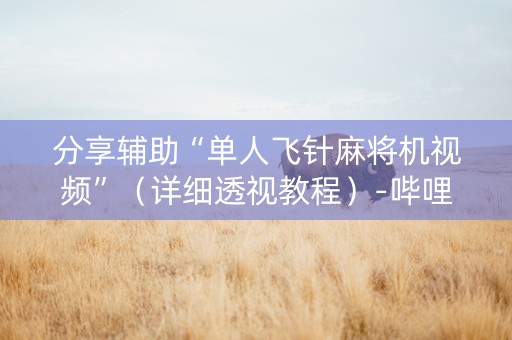 分享辅助“单人飞针麻将机视频”（详细透视教程）-哔哩哔哩