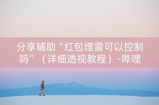 分享辅助“红包埋雷可以控制吗”（详细透视教程）-哔哩哔哩