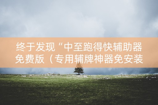 终于发现“中至跑得快辅助器免费版（专用辅牌神器免安装）