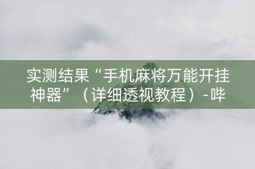 实测结果“手机麻将万能开挂神器”（详细透视教程）-哔哩哔哩