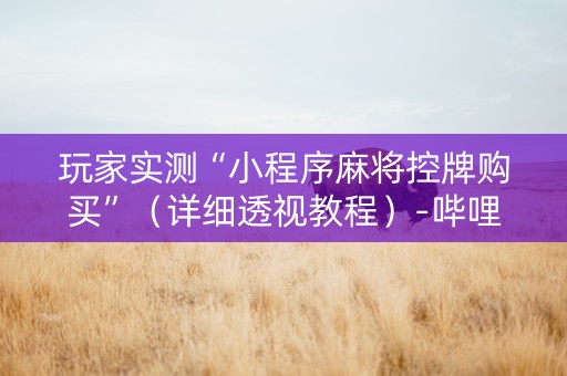 玩家实测“小程序麻将控牌购买”（详细透视教程）-哔哩哔哩