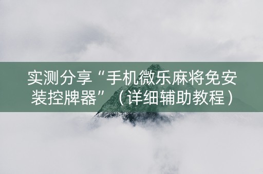 实测分享“手机微乐麻将免安装控牌器”（详细辅助教程）-哔哩哔哩