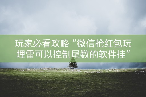 玩家必看攻略“微信抢红包玩埋雷可以控制尾数的软件挂”（详细透视教程）-哔哩哔哩
