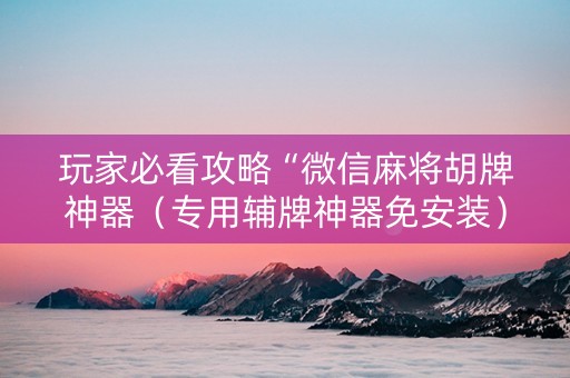 玩家必看攻略“微信麻将胡牌神器（专用辅牌神器免安装）