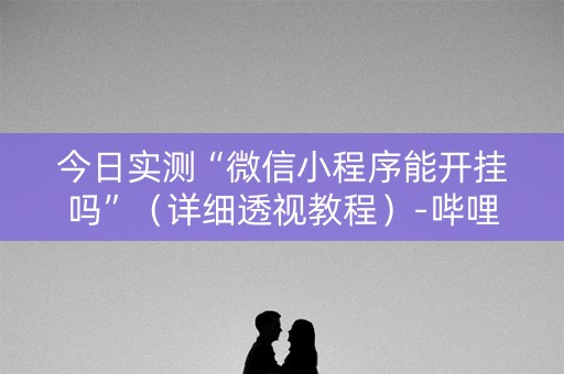 今日实测“微信小程序能开挂吗”（详细透视教程）-哔哩哔哩
