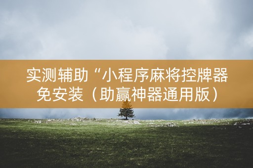 实测辅助“小程序麻将控牌器免安装（助赢神器通用版）