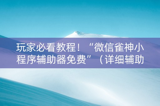 玩家必看教程！“微信雀神小程序辅助器免费”（详细辅助教程）-哔哩哔哩