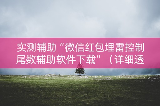 实测辅助“微信红包埋雷控制尾数辅助软件下载”（详细透视教程）-哔哩哔哩
