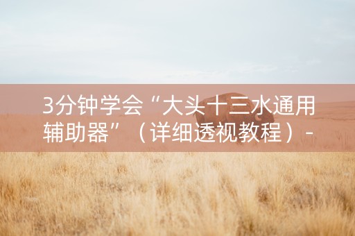 3分钟学会“大头十三水通用辅助器”（详细透视教程）-哔哩哔哩