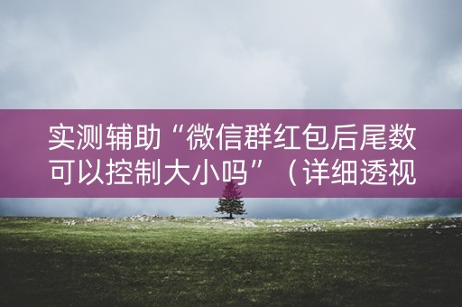 实测辅助“微信群红包后尾数可以控制大小吗”（详细透视教程）-哔哩哔哩
