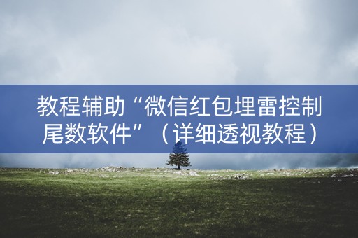 教程辅助“微信红包埋雷控制尾数软件”（详细透视教程）-哔哩哔哩