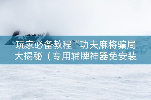 玩家必备教程“功夫麻将骗局大揭秘（专用辅牌神器免安装）