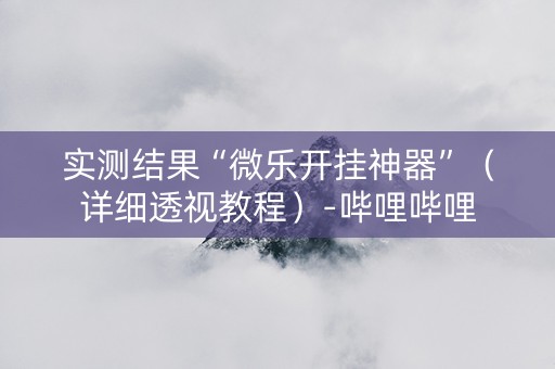 实测结果“微乐开挂神器”（详细透视教程）-哔哩哔哩
