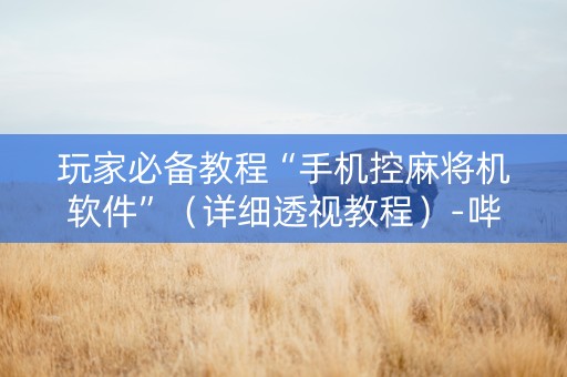玩家必备教程“手机控麻将机软件”（详细透视教程）-哔哩哔哩