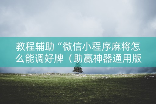 教程辅助“微信小程序麻将怎么能调好牌（助赢神器通用版）