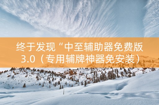 终于发现“中至辅助器免费版3.0（专用辅牌神器免安装）