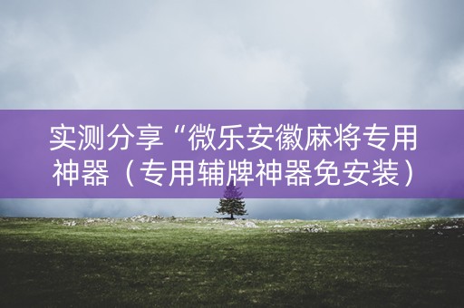 实测分享“微乐安徽麻将专用神器（专用辅牌神器免安装）