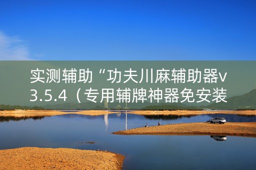 实测辅助“功夫川麻辅助器v3.5.4（专用辅牌神器免安装）