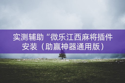 实测辅助“微乐江西麻将插件安装（助赢神器通用版）
