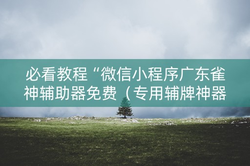 必看教程“微信小程序广东雀神辅助器免费（专用辅牌神器免安装）