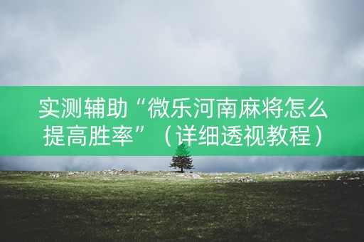实测辅助“微乐河南麻将怎么提高胜率”（详细透视教程）-哔哩哔哩