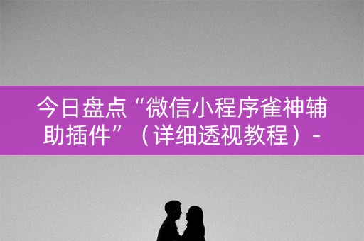 今日盘点“微信小程序雀神辅助插件”（详细透视教程）-哔哩哔哩