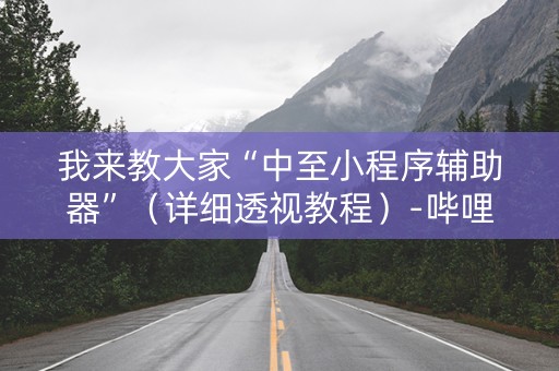 我来教大家“中至小程序辅助器”（详细透视教程）-哔哩哔哩