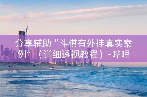 分享辅助“斗棋有外挂真实案例”（详细透视教程）-哔哩哔哩