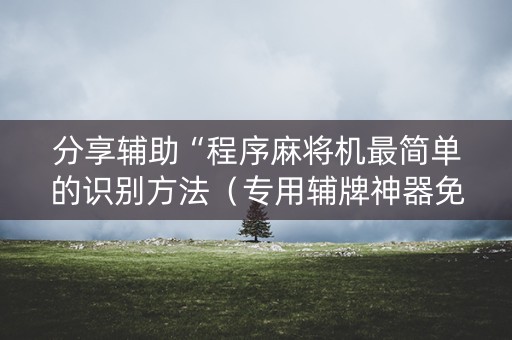 分享辅助“程序麻将机最简单的识别方法（专用辅牌神器免安装）