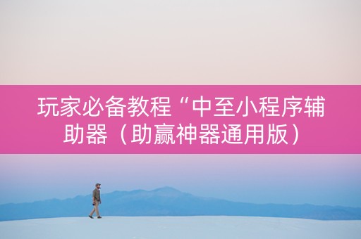 玩家必备教程“中至小程序辅助器（助赢神器通用版）