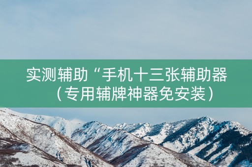 实测辅助“手机十三张辅助器（专用辅牌神器免安装）