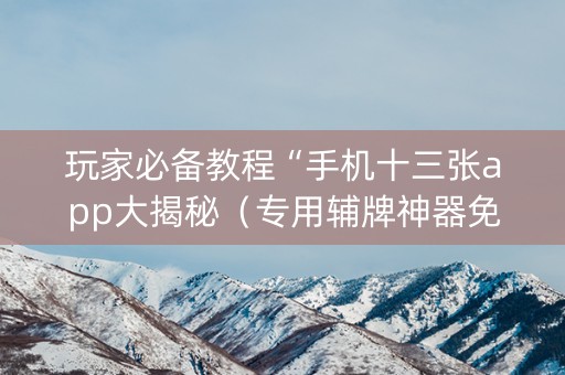 玩家必备教程“手机十三张app大揭秘（专用辅牌神器免安装）