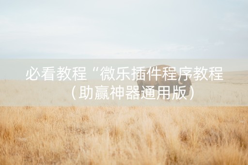必看教程“微乐插件程序教程（助赢神器通用版）