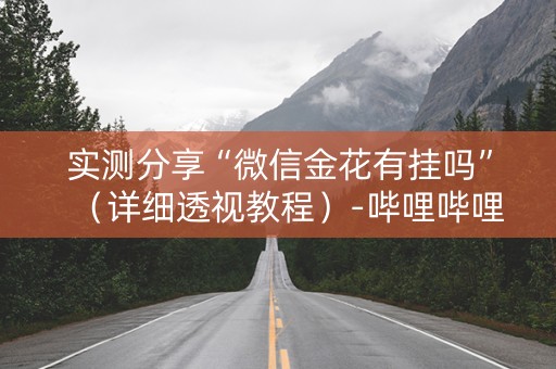 实测分享“微信金花有挂吗”（详细透视教程）-哔哩哔哩