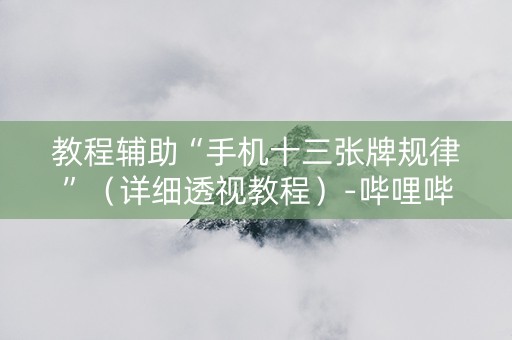 教程辅助“手机十三张牌规律”（详细透视教程）-哔哩哔哩