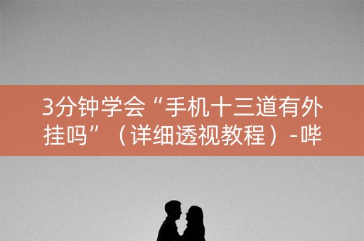 3分钟学会“手机十三道有外挂吗”（详细透视教程）-哔哩哔哩